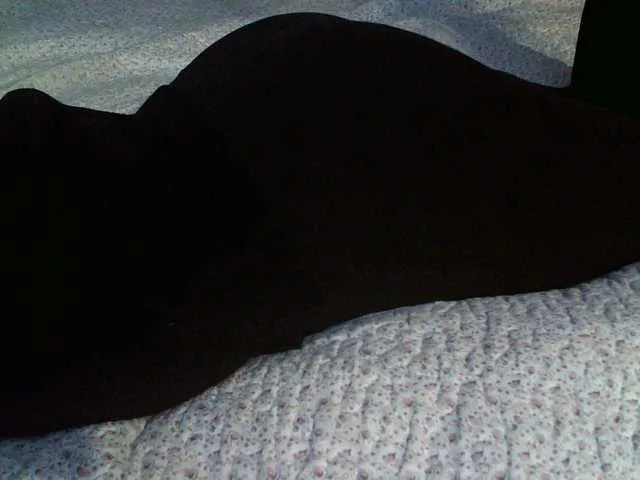 Live sex webcam photo for liZAAAZ #290691577