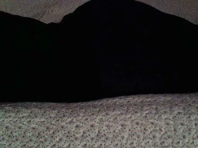 Live sex webcam photo for liZAAAZ #290722419