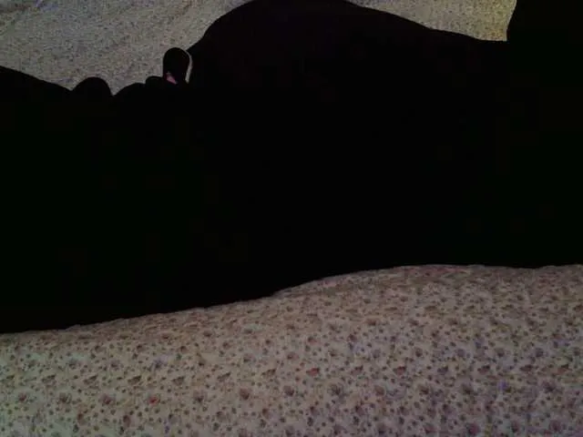 Live sex webcam photo for liZAAAZ #290780880