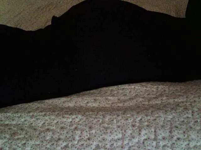 Live sex webcam photo for liZAAAZ #291007616