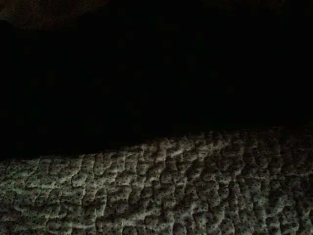 Live sex webcam photo for liZAAAZ #291120867