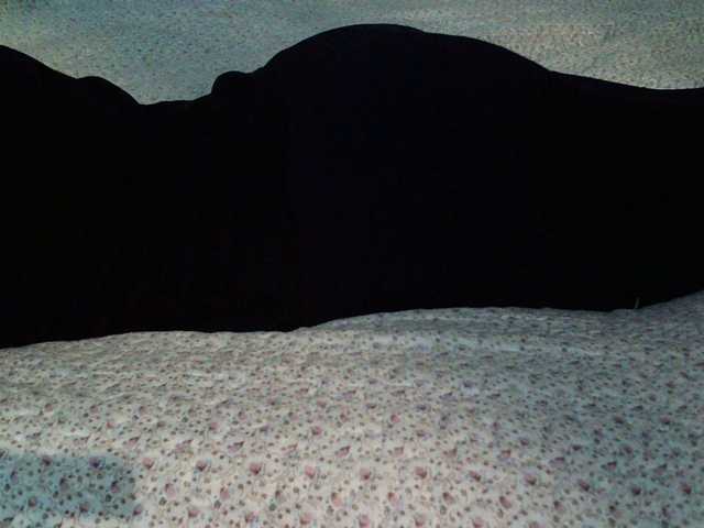 Live sex webcam photo for liZAAAZ #291153692