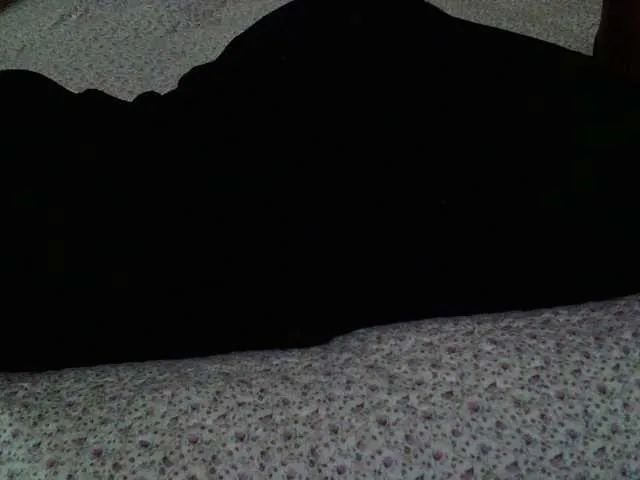 Live sex webcam photo for liZAAAZ #291226171