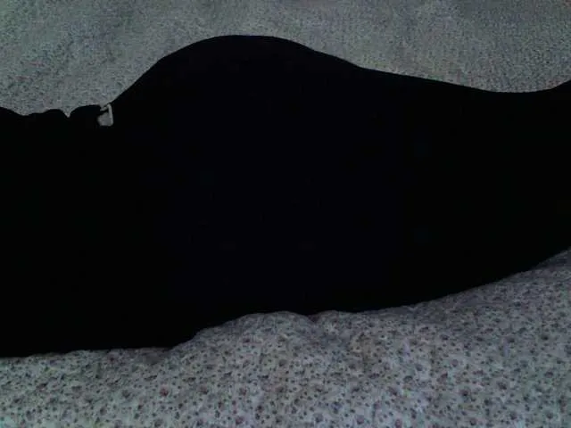 Live sex webcam photo for liZAAAZ #291354529