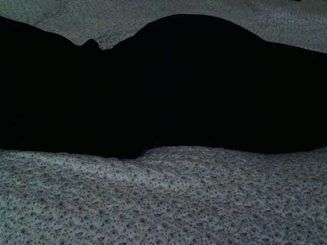 Live sex webcam photo for liZAAAZ #291361081