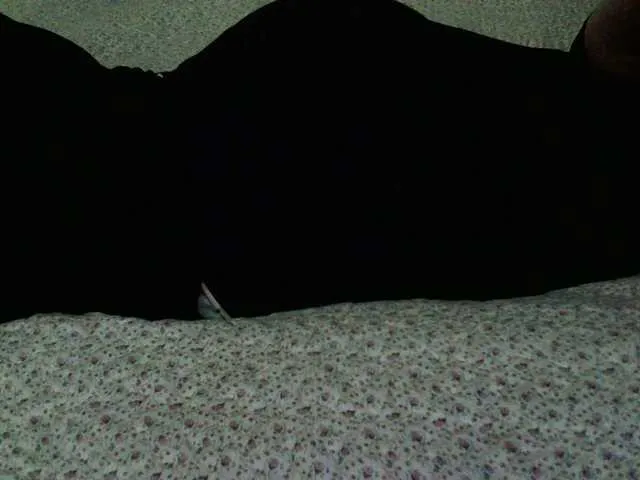 Live sex webcam photo for liZAAAZ #291671136