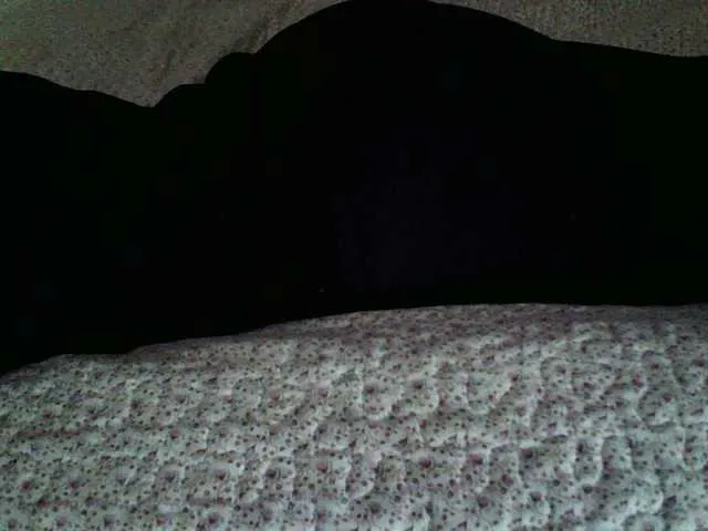 Live sex webcam photo for liZAAAZ #291764095