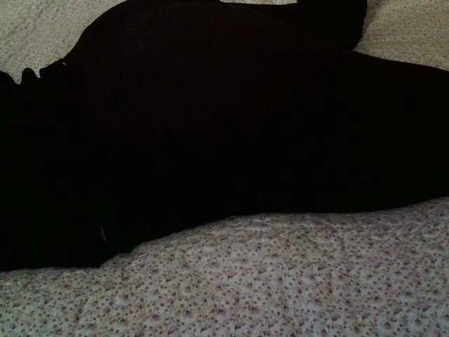 Live sex webcam photo for liZAAAZ #292290796