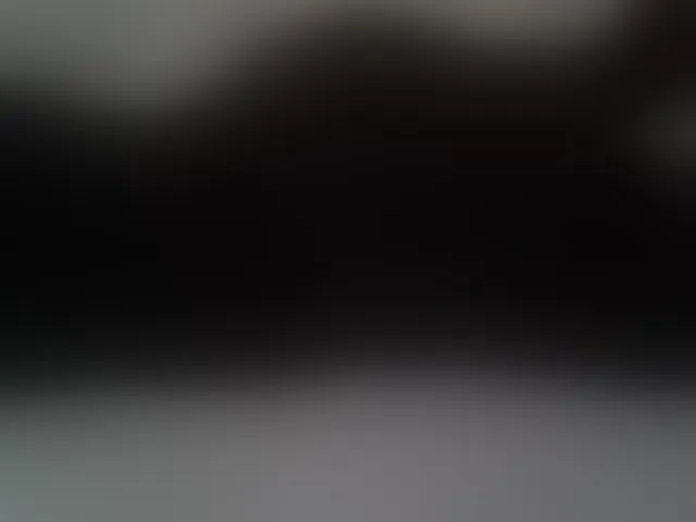 Live sex webcam photo for liZAAAZ #292438918