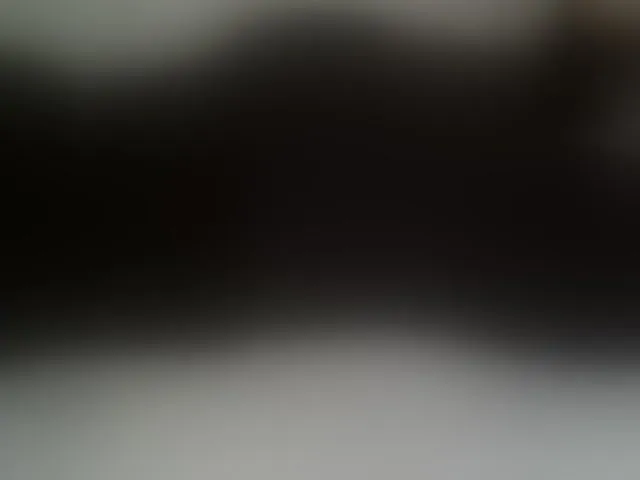Live sex webcam photo for liZAAAZ #293080043
