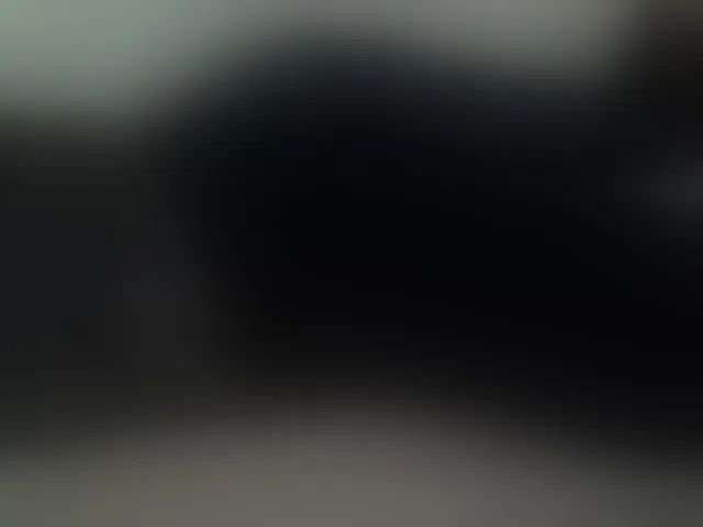 Live sex webcam photo for liZAAAZ #293808977