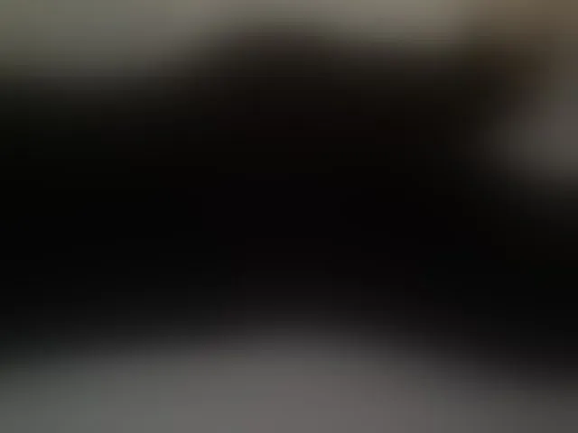 Live sex webcam photo for liZAAAZ #294290059