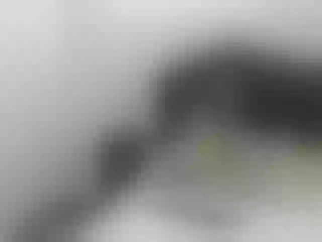 Live sex webcam photo for lia-zerpa #273021102