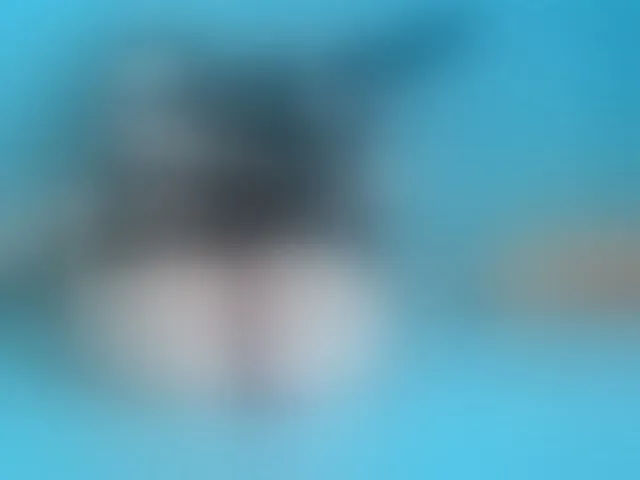 Live sex webcam photo for life-choco #293238924