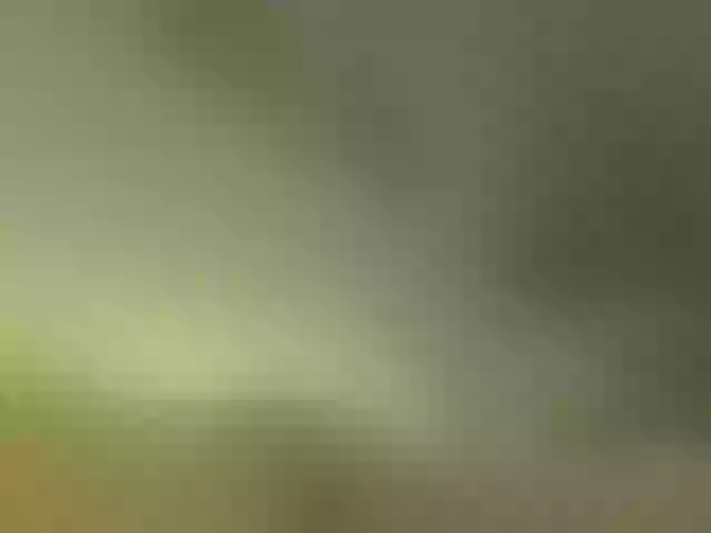 Live sex webcam photo for lili-roze #292012379