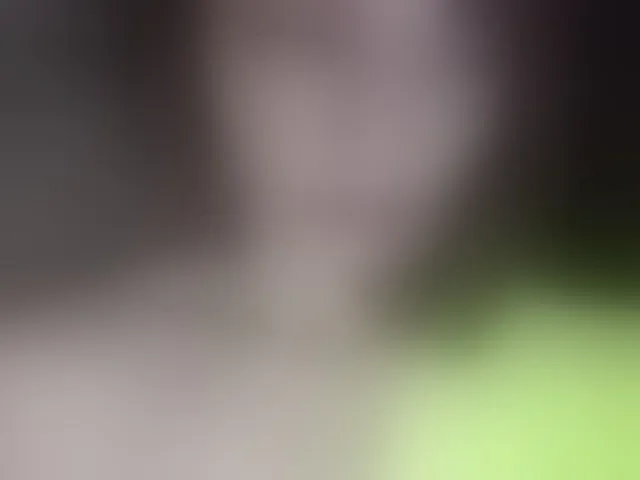 Live sex webcam photo for lilisexy14 #294112050
