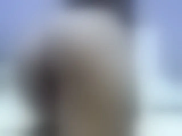 Live sex webcam photo for lilit-gomez #273815573