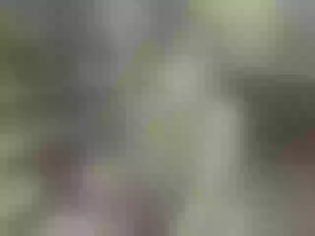 Live sex webcam photo for lily4yours #277900055