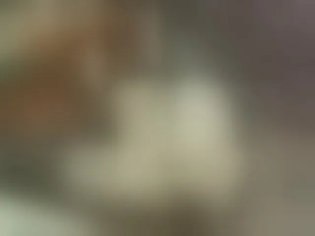 Live sex webcam photo for lily4yours #277945293