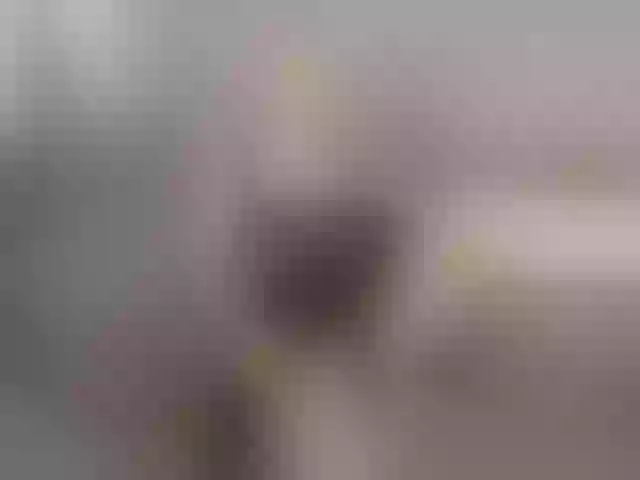 Live sex webcam photo for linalike #272422478