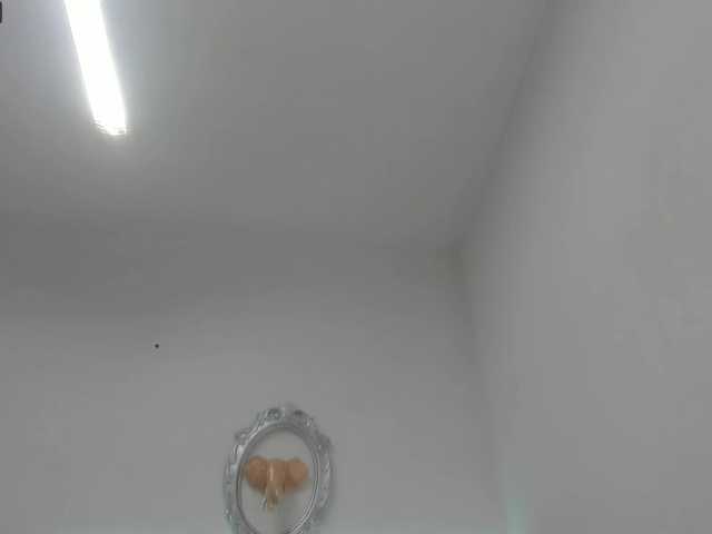 Live sex webcam photo for lindeyander #274628878