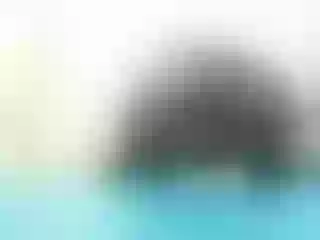 Live sex webcam photo for lindsayebony #130967481
