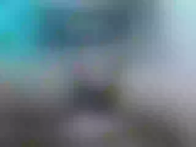 Live sex webcam photo for lionhotdick #287183236