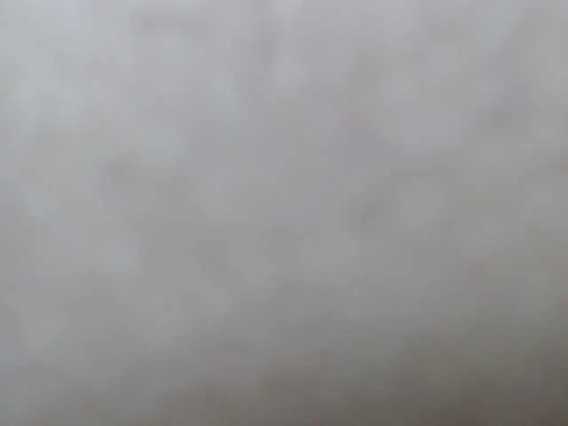Live sex webcam photo for lionhotdick #290036516