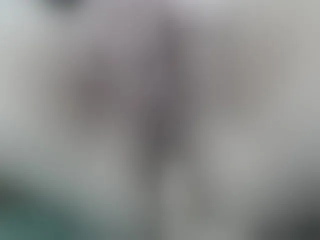 Live sex webcam photo for lisacarson #275711305