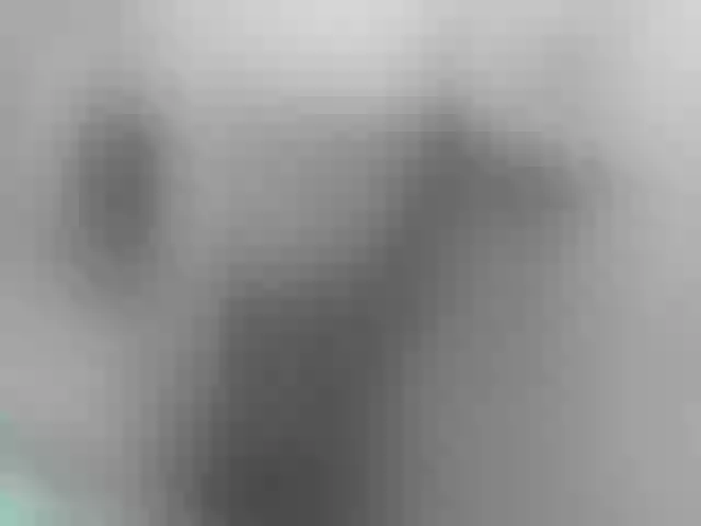 Live sex webcam photo for lisacarson #276265514