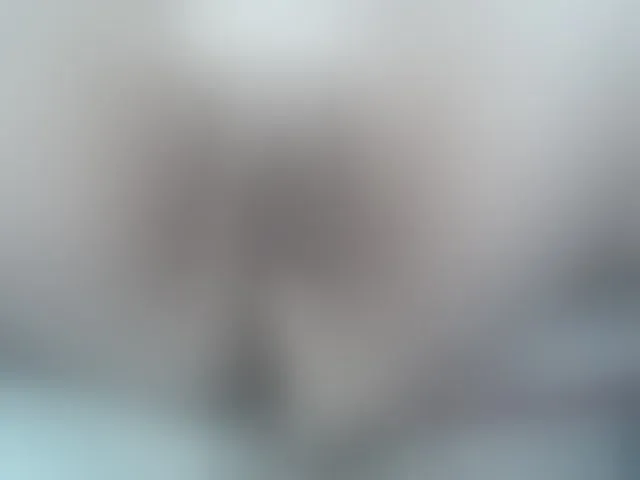 Live sex webcam photo for lisacarson #276486174