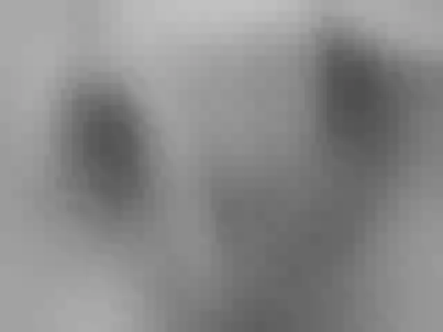 Live sex webcam photo for lisacarson #276638647