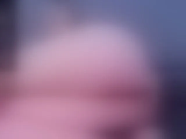 Live sex webcam photo for lissa-a #291007907