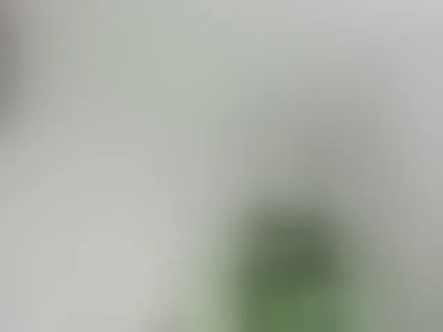 Live sex webcam photo for lissababe #292325901