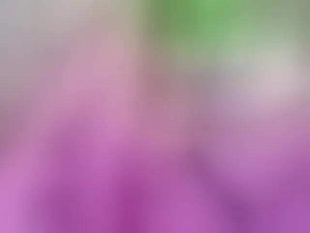 Live sex webcam photo for lissababe #293139351