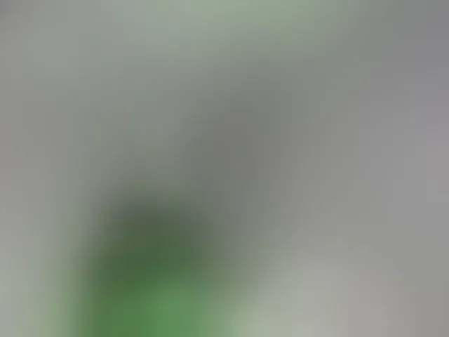 Live sex webcam photo for lissababe #293142251