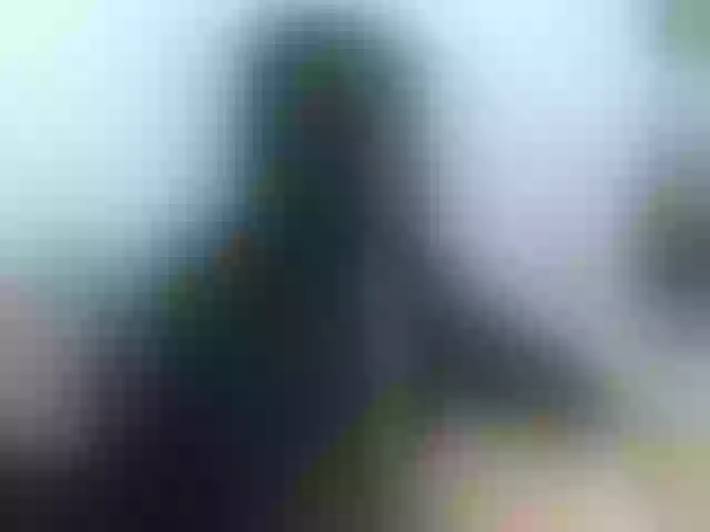 Live sex webcam photo for lissalogan #275549973