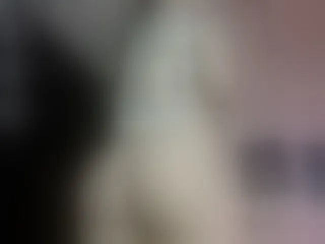 Live sex webcam photo for lisvandre #291676926