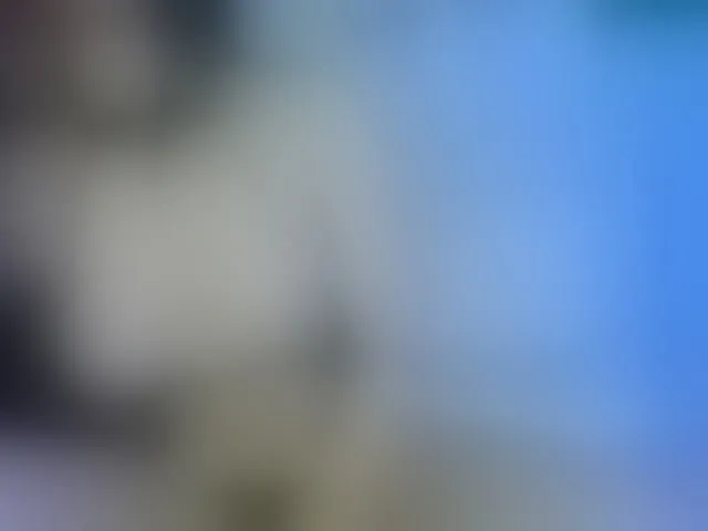 Live sex webcam photo for lisvandre #291728061