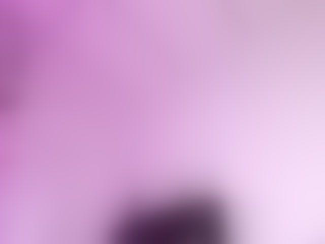 Live sex webcam photo for lisvandre #294084257