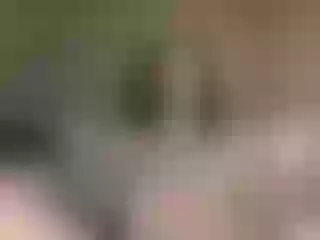 Live sex webcam photo for Little-piggy #171302922
