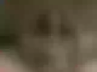 Live sex webcam photo for Little-piggy #171310712