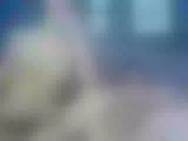 Live sex webcam photo for littleFuckers #273669730