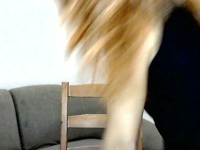 Live sex webcam photo for littleSue #272409557