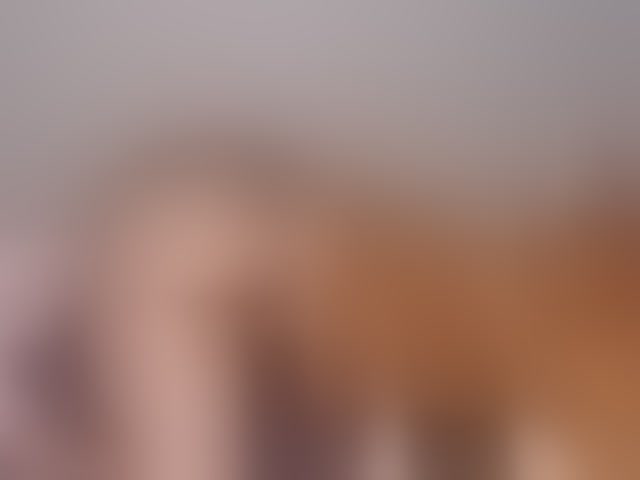 Live sex webcam photo for liztaylor #293811800