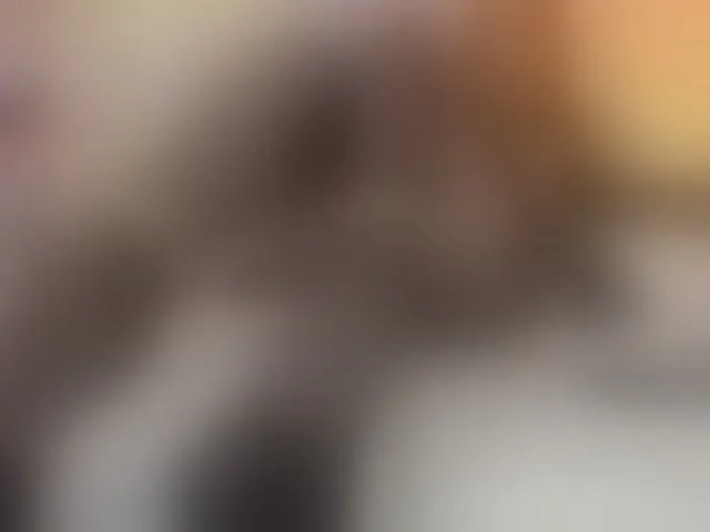 Live sex webcam photo for loliswet #294066826