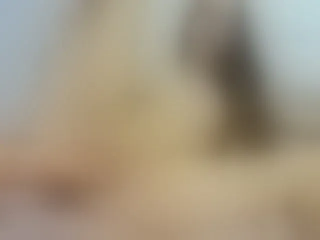 Live sex webcam photo for lollavibes #292781303