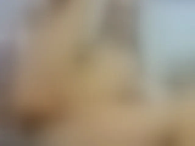 Live sex webcam photo for lollavibes #292793883
