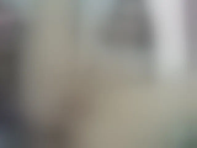 Live sex webcam photo for lollavibes #293078733