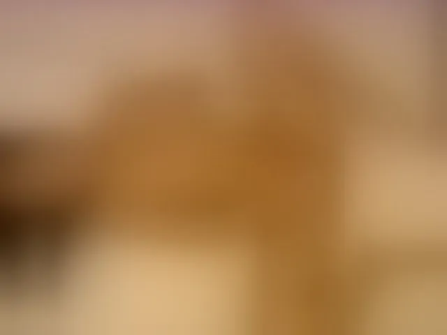 Live sex webcam photo for loonyko #272496496